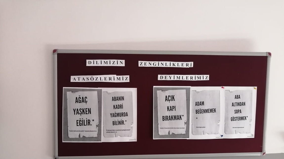 Dilimizin Zenginlikleri Projesi